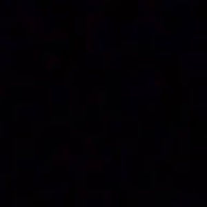 Meet your Posher, Maximilian